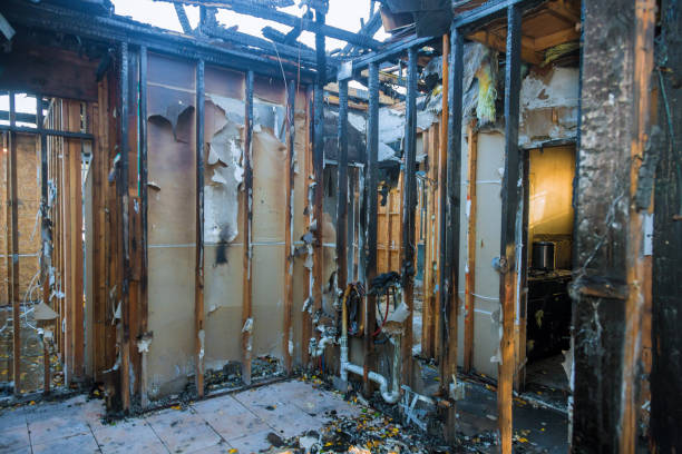 Professional Fire Damage Repair technician working in Webster, MN