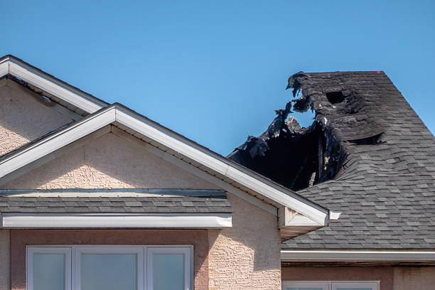 Top rated local Fire Damage Repair specialists in Webster, MN